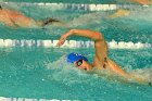 Swimming vs Bentley  Wheaton College Swimming & Diving vs Bentley College. - Photo by Keith Nordstrom : Wheaton, Swimming & Diving